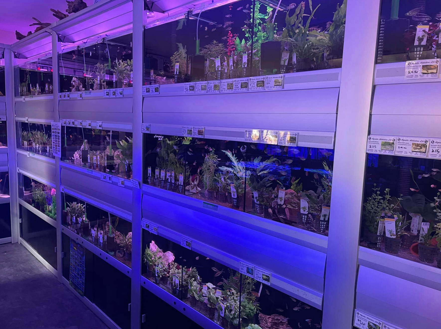 Aquarium supplies, aquascaping, fishkeeping