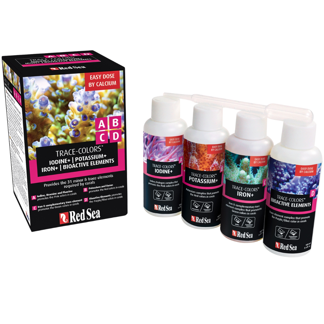 Red Sea Coral Colors A, B, C & D