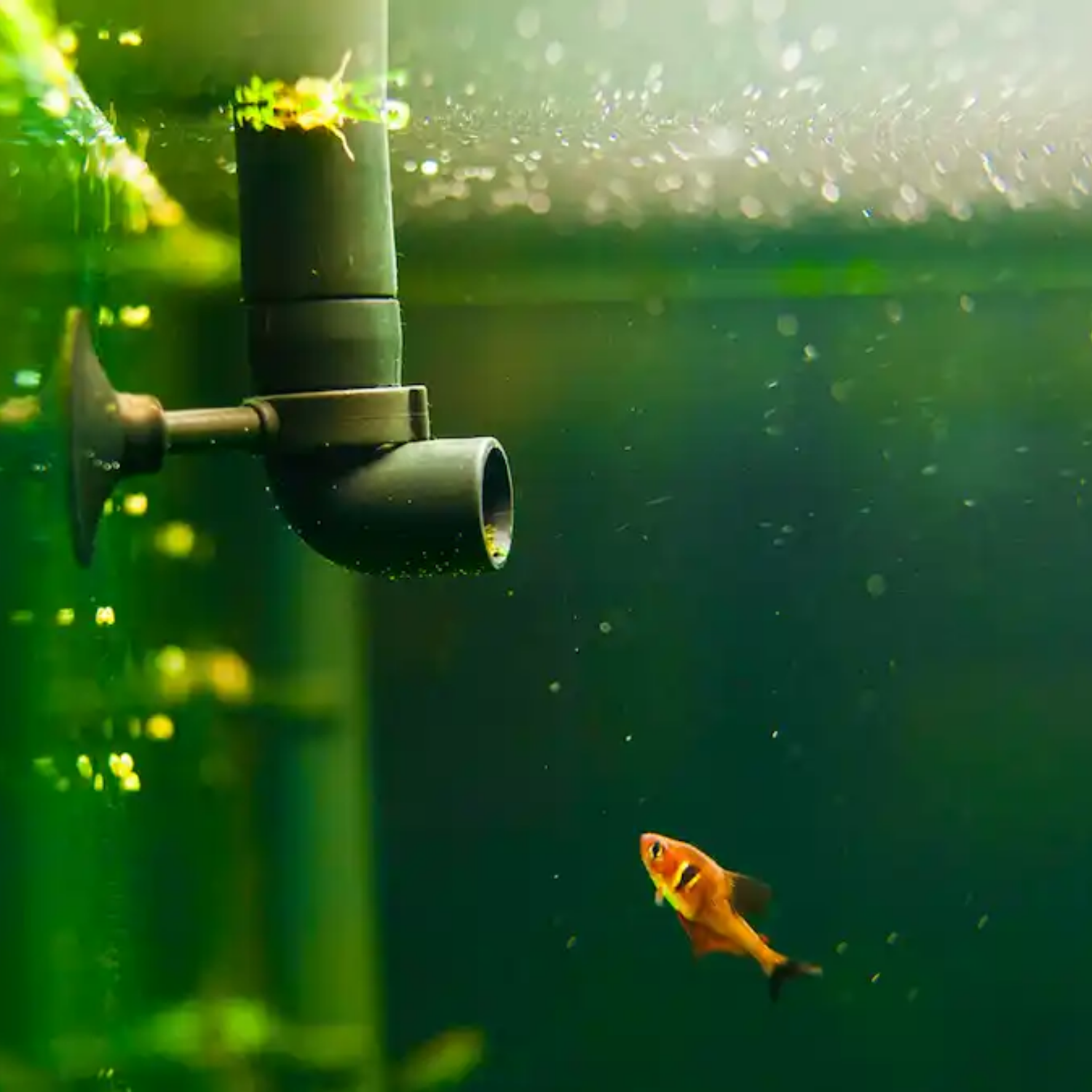 Filtration Media & Accessories