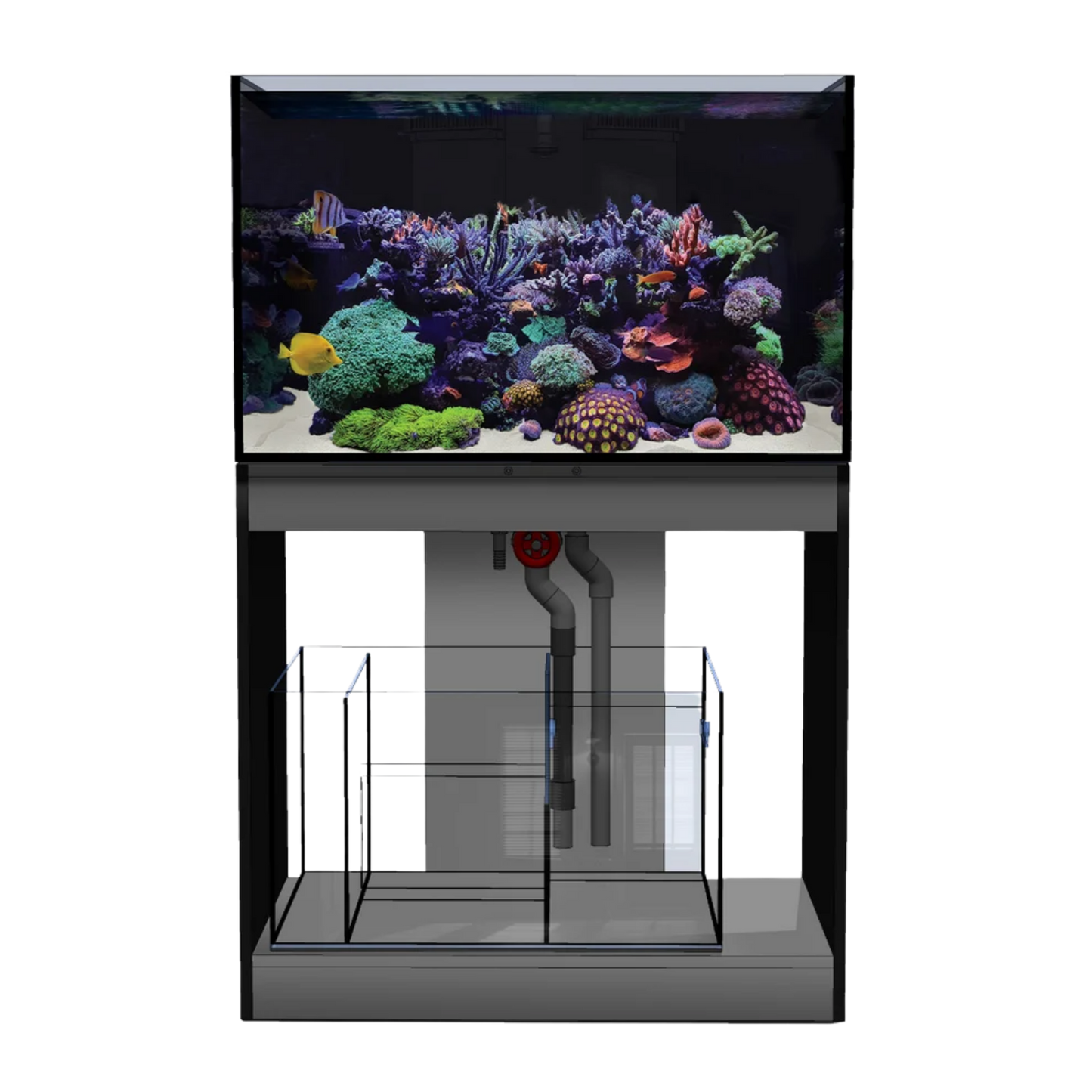 D-D Aqua-Pro Reef 900 Tank & Cabinet