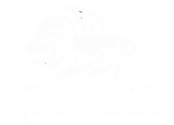 Aquatic Addiction