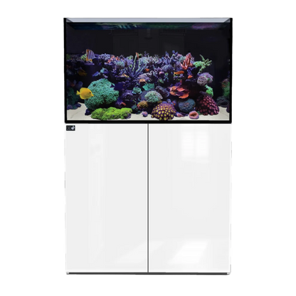 D-D Aqua-Pro Reef 900 Tank & Cabinet