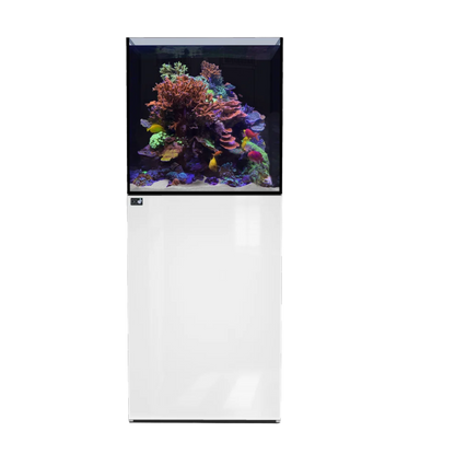 D-D Aqua-Pro Reef 600 Cube Tank & Cabinet
